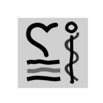 IBG Institut für Bildung im Gesundheitsdienst GmbH Bad Schallerbach Logo