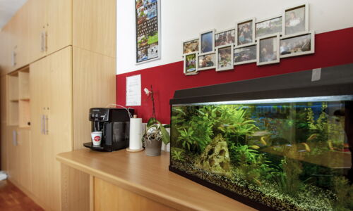 Bild von einem Zimmer mit Aquarium