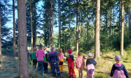 Kinder im Wald, man sieht sie nur von hinter