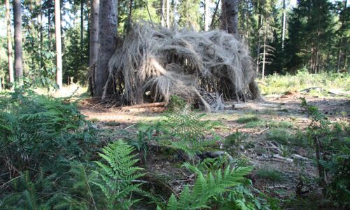 Hier sieht man einen selbstgemachten Unterstand im Wald
